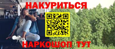 дмт Гусев