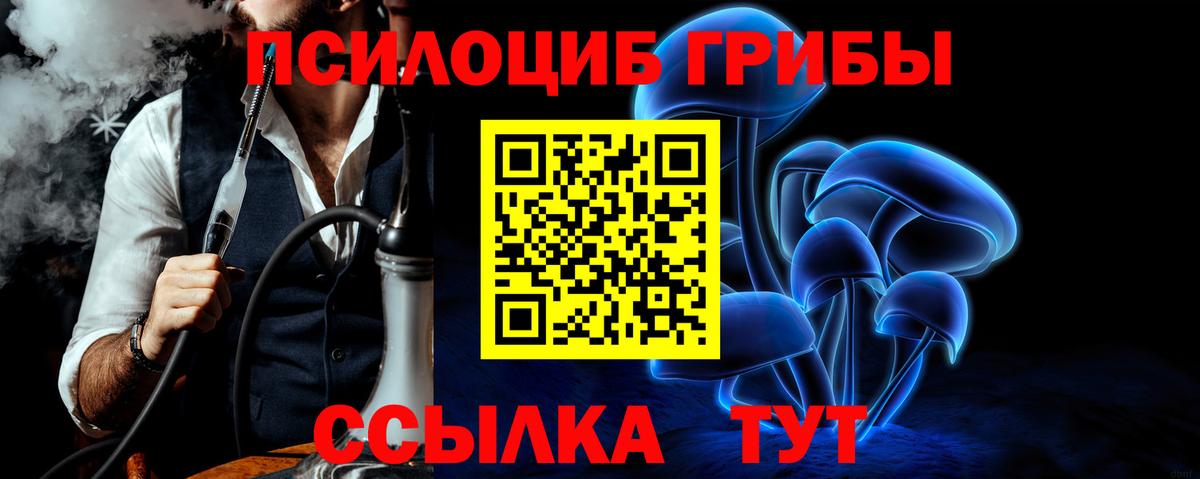 Менделеевск  Галлюциногенные грибы GOLDEN TEACHER  Вход с VPN  Галлюциногенные грибы прущие грибы 