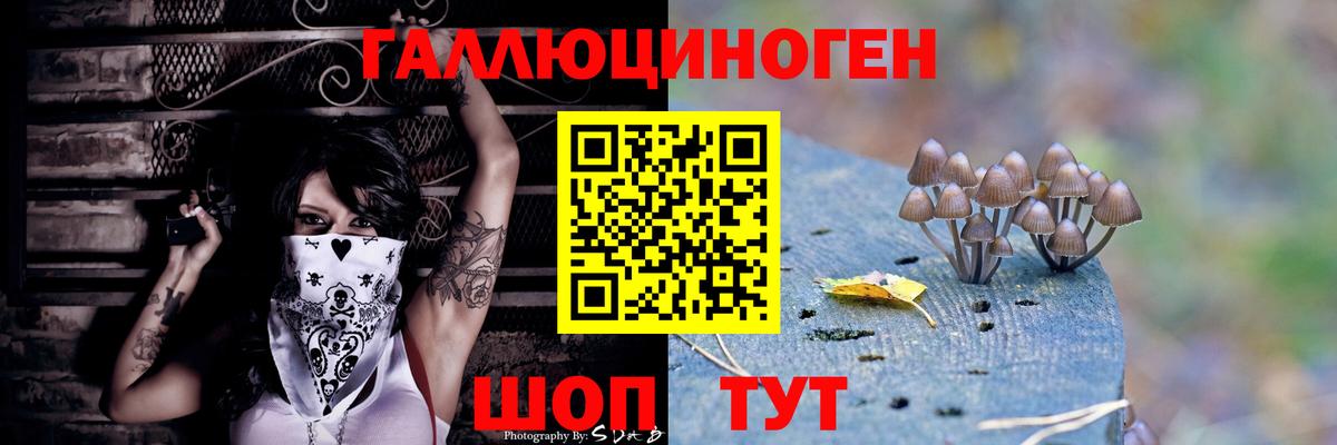 Галлюциногенные грибы Psilocybe Менделеевск